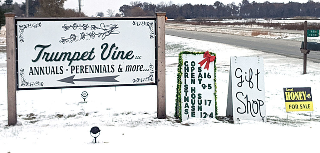 Trumpet Vine sign